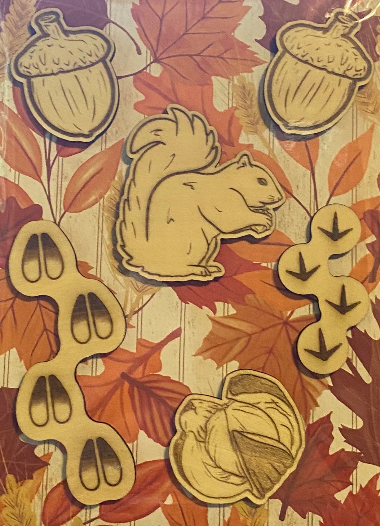 Wooden Glue-on: Squirrel Set